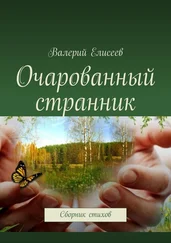 Валерий Елисеев - Очарованный странник. Сборник стихов