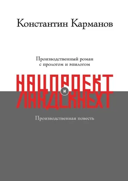 Константин Карманов Нацпроект. Ландскнехт обложка книги