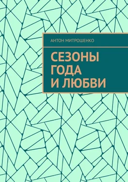 Антон Митрошенко Сезоны года и любви обложка книги