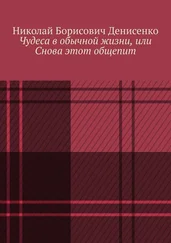 Николай Денисенко - Чудеса в обычной жизни, или Снова этот общепит