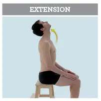 Antépulsion mouvement équivalent à la flexion qui ne concerne que lépaule - фото 16