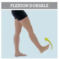Flexion plantaire mouvement de la cheville équivalent à lextension PLAN - фото 19