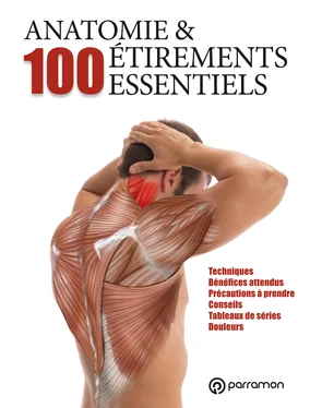 Guillermo Seijas Albir Anatomie & 100 étirements essentiels обложка книги