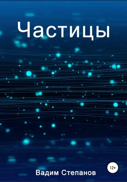 Вадим Степанов Частицы обложка книги