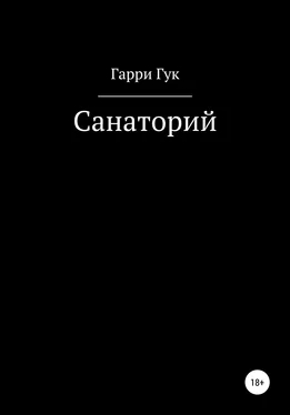 Гарри Гук Санаторий обложка книги