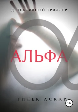 Тилек Аскар Альфа обложка книги