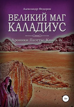 Александр Федоров Великий маг Каладиус. Хроники Паэтты. Книга IV обложка книги