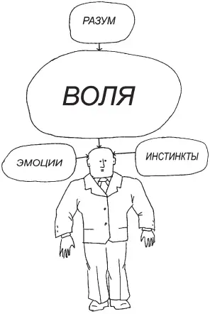 И волевым же усилием можно подавить любой инстинкт Например в условиях - фото 7