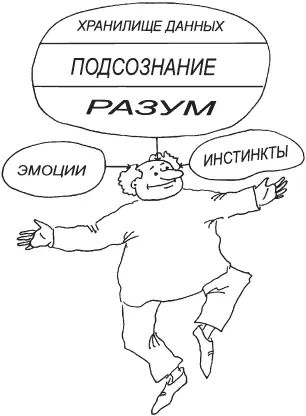 Все по науке Эта схема во многом соответствует установленному учеными строению - фото 8