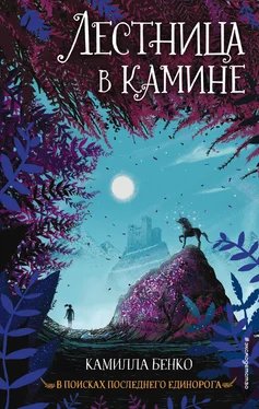 Камилла Бенко Лестница в камине обложка книги