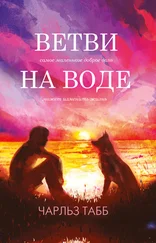Эдвин Табб - Ветви на воде