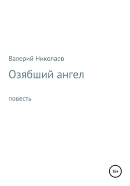 Валерий Николаев Озябший ангел обложка книги