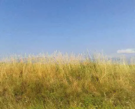 Зина везунчик Жизнь часто приносила Зине сюрпризы Она была везунчиком не - фото 1