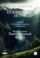 Игорь Саврасов - Собирание игры. Книга первая. Таинственный фьорд
