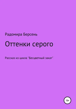 Радомира Берсень Оттенки серого обложка книги