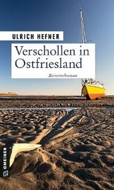 Ulrich Hefner Verschollen in Ostfriesland обложка книги