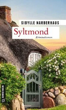 Sibylle Narberhaus Syltmond обложка книги