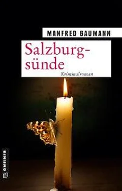 Manfred Baumann Salzburgsünde обложка книги