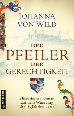 Johanna von Wild Der Pfeiler der Gerechtigkeit обложка книги