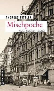 Andreas Pittler Mischpoche обложка книги