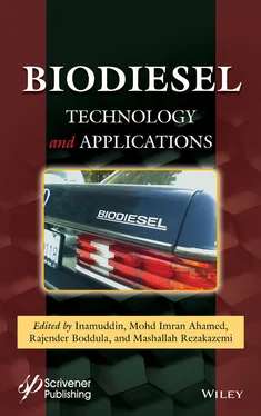Неизвестный Автор Biodiesel Technology and Applications обложка книги