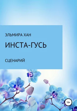 Эльмира Хан Инста-гусь обложка книги