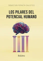 Sebastián Peralta Galisteo - Los pilares del potencial humano