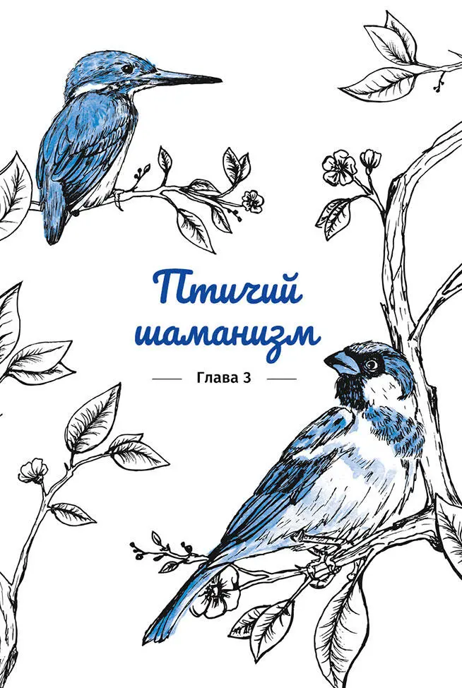 Когда большинство людей слышит о духовной силе животных им в голову сразу же - фото 5