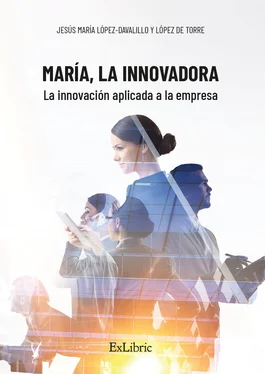 Jesús María López-Davalillo y López de Torre María, la Innovadora. La innovación aplicada a la empresa обложка книги