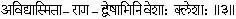 3 The painbearing obstructions are ignorance egoism attachment aversion - фото 57