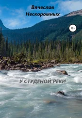 Вячеслав Нескоромных - У студёной реки