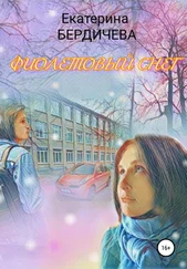 Екатерина Бердичева - Фиолетовый снег