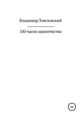 Владимир Хмелевский 100 часов одиночества обложка книги