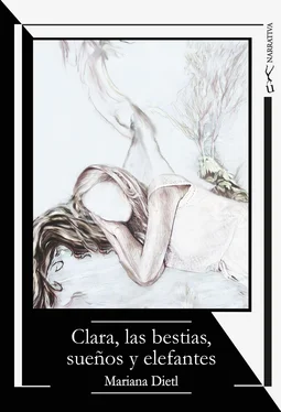 Mariana Dietl Clara, las bestias, sueños y elefantes обложка книги