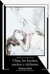 Mariana Dietl - Clara, las bestias, sueños y elefantes