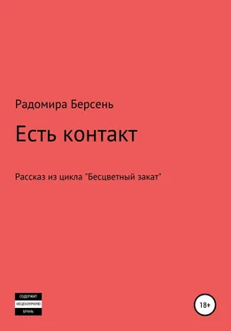 Радомира Берсень Есть контакт обложка книги