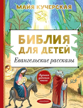 Майя Кучерская Библия для детей. Евангельские рассказы обложка книги