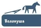 Если человеку нужно было добраться куданибудь он отправлялся в путь - фото 6