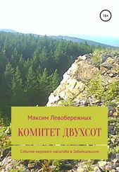 Максим Левобережных - Комитет двухсот