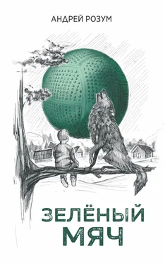 Андрей Розум Зелёный мяч обложка книги