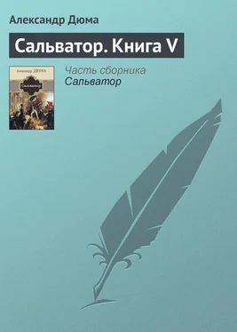 Александр Дюма Сальватор. Книга V обложка книги