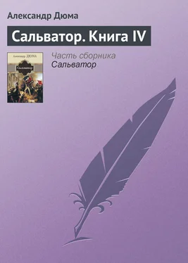 Александр Дюма Сальватор. Книга IV обложка книги