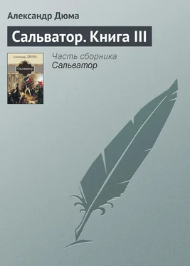 Александр Дюма Сальватор. Книга III обложка книги