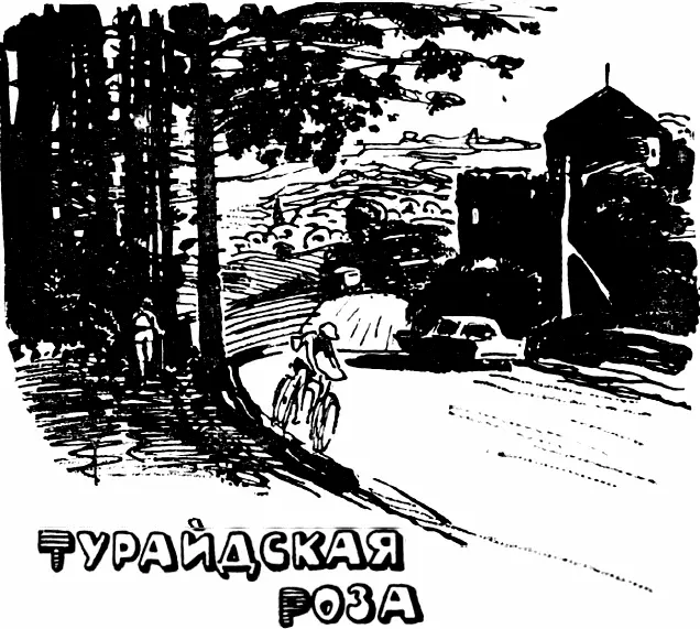 1 Турайдская Роза засмеялась Уже ради этого стоило бродить по солнцепеку на - фото 7