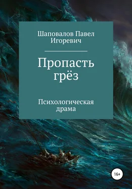 Павел Шаповалов Пропасть грёз обложка книги