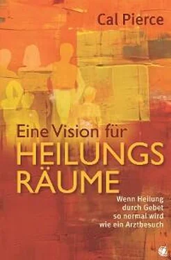 Cal Pierce Eine Vision für Heilungsräume обложка книги