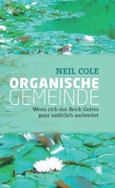 Neil Cole Organische Gemeinde обложка книги