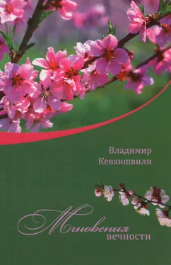 Владимир Кевхишвили Мгновения Вечности обложка книги
