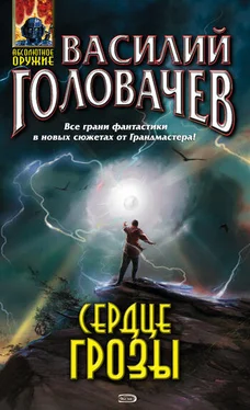 Василий Головачев Помню обложка книги