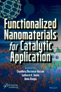 Неизвестный Автор Functionalized Nanomaterials for Catalytic Application обложка книги